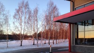 Det finns också planer på en bensinmack i området. Området som heter västra Läpp i Karis
