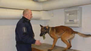 Blir bombhundar och narkotikahundar arbetslösa i framtiden? Teppo Kainulainen och polishunden Oscar