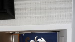 Suomen Poliisijärjestöjen Liiton puheenjohtaja Jonne Rinne. Suomen Poliisijärjestöjen Liiton puheenjohtaja Jonne Rinne.