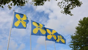 Enestam är nu tillbaka till kommunalpolitiken i Kimitoön. Kimitoöns kommunflagga.
