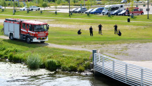 Gräsplätt vid åstranden, 5 brandmän i ring runt fågel, brandbil till vänster om dem.