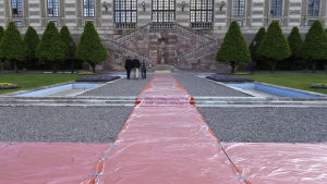 Röda mattan har rullats ut framför slottet i Stockholm. Röda mattan har rullats ut inför bröllopet mellan prins Carl Philip och Sofia Hellqvist