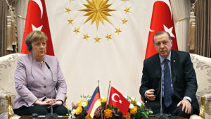 Turkiet angrep också Tyskland efter inhiberade kampanjmöten. Både Tyskland och Nederländerna har kallats fascister och nazister. Tysklands förbundskansler Angela Merkel och Turkiets president Recep Tayyip Erdogen under en gemensam presskonferens i Ankara 2.2.2017