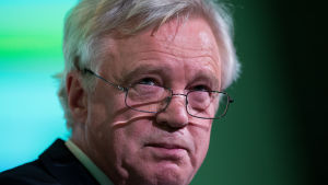 Brittiska brexitministern David Davis. En närbild på den nya brexit-ministern David Davis som tittar upp från sina glasögon.