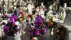 Gravar prydda med blommor i Malaga i Spanien. Gravgård smyckad med blommor i Malaga i Spanien