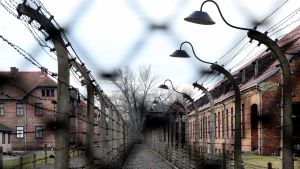Såhär ser det ut i Auschwitz-Birkenau i dag, 71 år efter befrielsen. Före detta förintelselägret i Auschwitz.