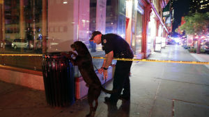 Polisen letar efter explosiva ämnen. Polisen letar efter explosiva ämnen på Manhattan