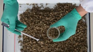 Jordmånen undersöks i ett laboratorium i Kina. Jordmånen undersöks i Kina för att leta efter gifter.