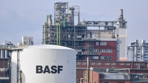 BASF är ett av världens största företag inom den kemiska industrin. Kemikaliejätten BASF:s fabrik i Ludwigshafen i Tyskland.
