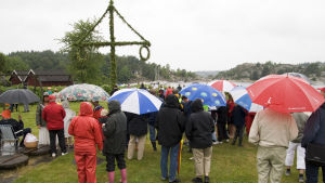 Ofta är gummistövlar och regnkläder bättre än sommarklänning under midsommarhelgen människor i regnmundering runt en midsommarstång.