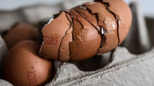 Söndriga äggskal staplade på varandra i en äggkartong i Dresden, Tyskland. Den tyska livsmedelskedjan Aldi meddelade att de återkallar alla ägg från sina butiker i hela Tyskland som en säkerhetsåtgärd efter fipronilupptäckter i nederländska ägg. Söndriga äggskal staplade på varandra i en äggkartong i Dresden, Tyskland. Den tyska livsmedelskedjan Aldi meddelade att de återkallar alla ägg från sina butiker i hela Tyskland som en säkerhetsåtgärd efter fipronilupptäckter i nederländska ägg.