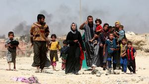 Största delen av de nästan 900 000 människor som har flytt från Mosul är kvinnor och barn Största delen av de nästan 900 000 människor som har flytt från Mosul är kvinnor och barn