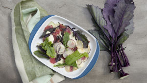 Sallad på rårivet lamm med rovor. Sallad på rårivet lamm med rovor.