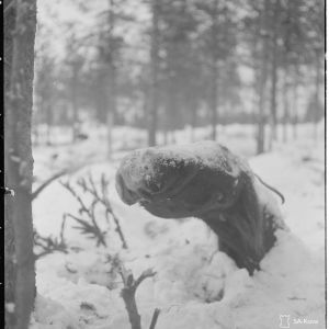 21.1.1940 Nälkään kuollut vihollisen hevonen Ruhtinaanmäellä.