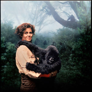 Kameraan katsova tummatukkainen nainen vaaleassa paidassa pitelee pientä gorillaa sylissään sumuisen viidakon edustalla.