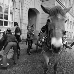 Tunnistamattomia näyttelijöitä ja kuvauksissa käytetty hevonen tv-draamassa Lennu (1967).