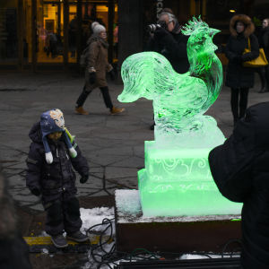 Vet du ditt kinesiska stjärntecken? Iskulpturer på alla tolv djurtecknen finns att se på Centralgatan och vid Järnvägstorget i Helsingfors. Ett barn tittar på en iskulptur av en tupp under firandet av det kinesiska nyåret 2018 i Helsingfors.