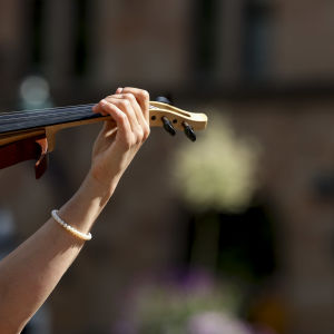 Sormet ottavat otteen viulun kaulasta.