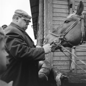 Ohjaaja Matti Tapio ja kuvauksissa käytetty hevonen tv-draamassa Lennu (1967).