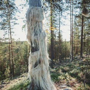 Puuhun kiinnitetty villainen partamainen taideteos