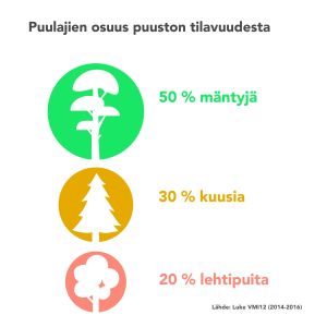 Infografiikka: Suomen metsien tilavuudesta 50 % on mäntyjä, 30 % kuusia ja 20 % lehtipuita. Lähde: Luke.