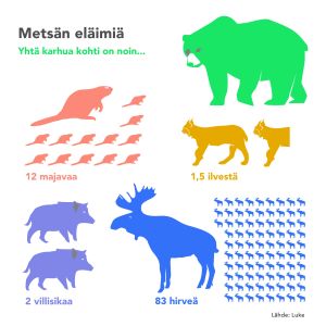 Infografiikka: yhtä karhua kohti Suomen metsissä on noin 1,5 ilvestä, 2 villisikaa, 12 majavaa ja 83 hirveä (kanta-arviot ennen metsästyskautta 2017). Lähde: Luke