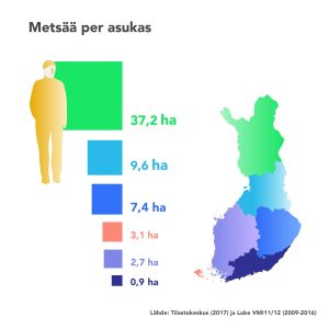 Infografiikka: metsäpinta-ala per asukas eri puolilla Suomea.