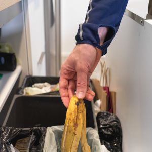  Banaaninkuoret tippuu kierrätyslaatikkoon. Oululainen perhe kierrättää jätteet arjessa säännöllisesti. 