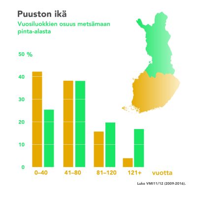 Suomi on Euroopan metsäisin maa! Tutki, miltä hiilinielumme näyttää  numeroina | Oppiminen 