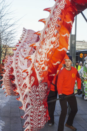Så här flyger en kinesisk drake. Speciellt för i år var att en drake även skrinnade på isrinken vid Järnvägstorget. Drake som dansar under firande av det kinesiska nyåret vid Narinken i Helsingfors.