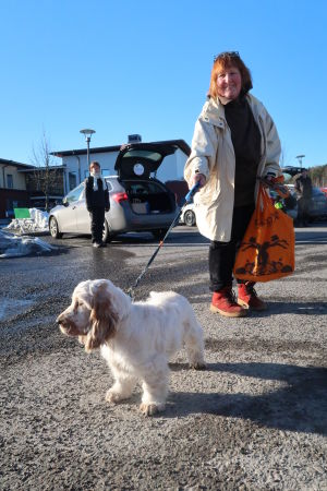 Hunden Ville, 4 månader, på sin första rekoring med matte. Vit liten hund fast i koppel på parkeringsplats.