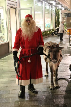 Julgubben tog också en sväng till torget för att påminna folk om att julen närmar sig. Julgubbe med ren som står brevid varandra på torget.
