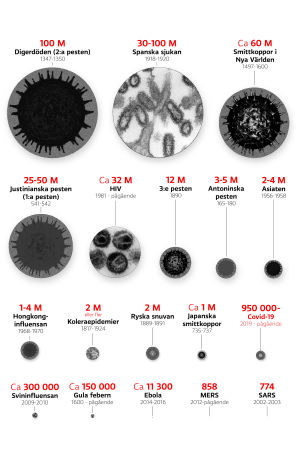 Covid-19 är fortfarande en relativt lindrig pandemi, i historisk jämförelse. Grafik som visar de dödligaste pandemierna genom historien i relation till varandra.