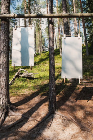 Ett imponerande muller från ukkospelti-instrumentet. Både väder och användning förorsakar slitage och instrumentbyggarna reparerar dem med några års mellanrum. Som tur har skogen inte utsatts för något större ofog. Kaksi peltiä joissa kädensijat roikkumassa mäntyihin kiinnitetystä poikkipuusta, nimeltään ukkospelti, Soivassa Metsässä Suomussalmella.