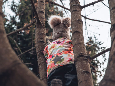 Kuusivuotias lapsi kiipeilee puussa.