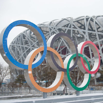 Olympiska ringarna framför Fågelboet i Peking.