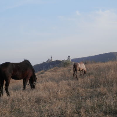 Moldavisk landsbygd