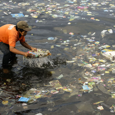 En filippinsk man samlar upp plastavfall ur havet.