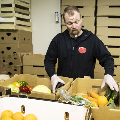 Toni Kaartinen pakkaamassa vihanneksia laatikoihin.