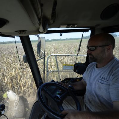 En amerikansk jordbrukare skördar majs i Georgia.