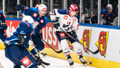 Teemu Tallberg är HIFK:s nya kapten.