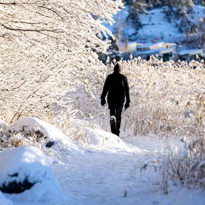 Henkilö kävelee lumisessa maisemassa auringon paistaessa.