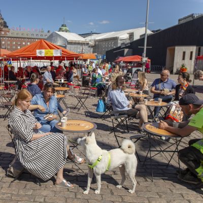 Tuula Pöyhönen, Katja Joutsijoki ja Aki-koira nauttivat kesäpäivästä Hakaniemen torilla.