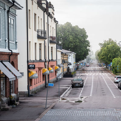 Vy över en dimmig gata, bilar står parkerade längs den