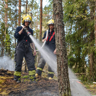 Brandmän släcker i skogen