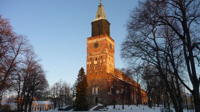 Åbo Domkyrka med julgranen 2010