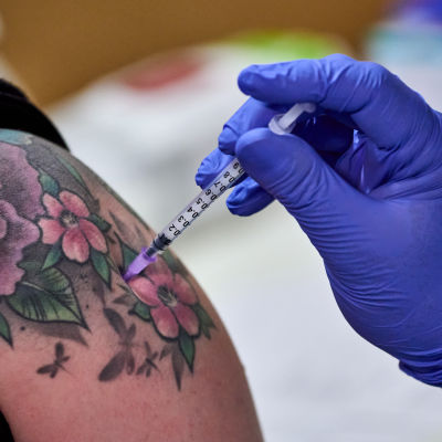 Vaccinationsspruta sticks in i tatuerad arm.