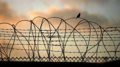 Taggtråd vid gränsen till Gaza.