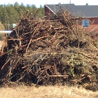 Risuja kasattuna pääsiäiskokoksi