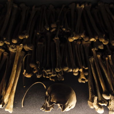 Skallar och skelettdelar av offren för folkmordet i Rwanda syns här under en utställning i Kigali.